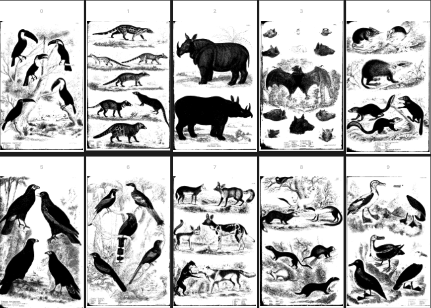 Pretty good for a first pass; and lightning quick to run! Though there are problems; in particular animals with dynamic values are not “stamped” in their whole; the albatross in the bottom right-hand corner for instance.
